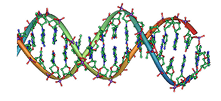 DNA Profiling System Logo